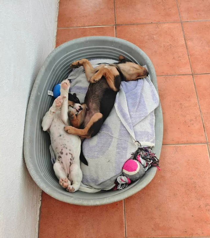 FOTO14
