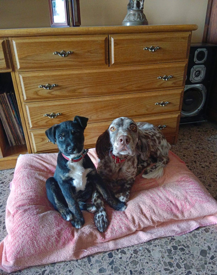 FOTO12